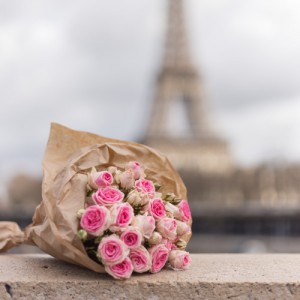 There will always be Paris_pink roses                          